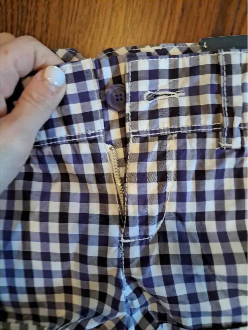 American Eagle Outfitters Women'sshorts Plaid Costal Size 4. NWT‎ Purple